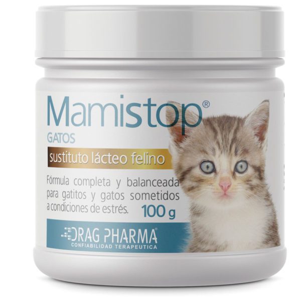 mami stop gato