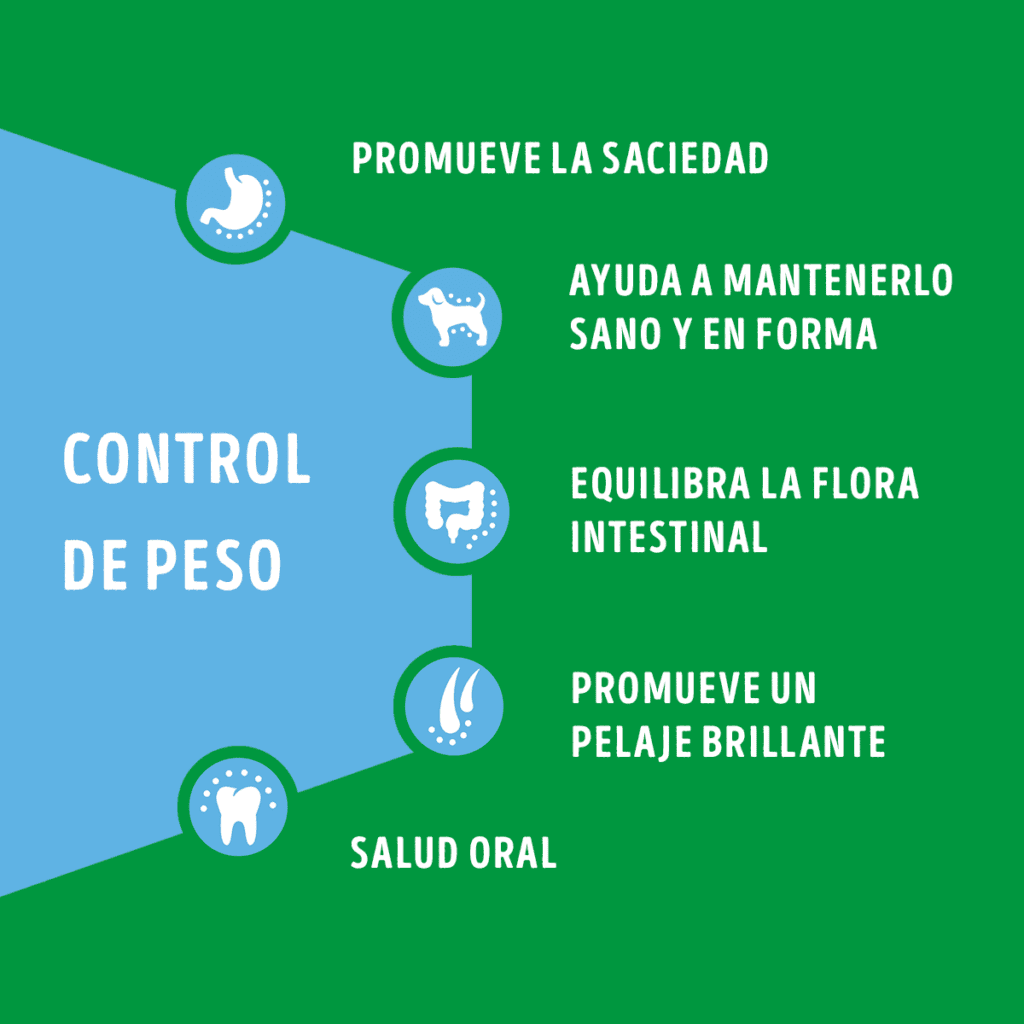 Distribuidora Lira