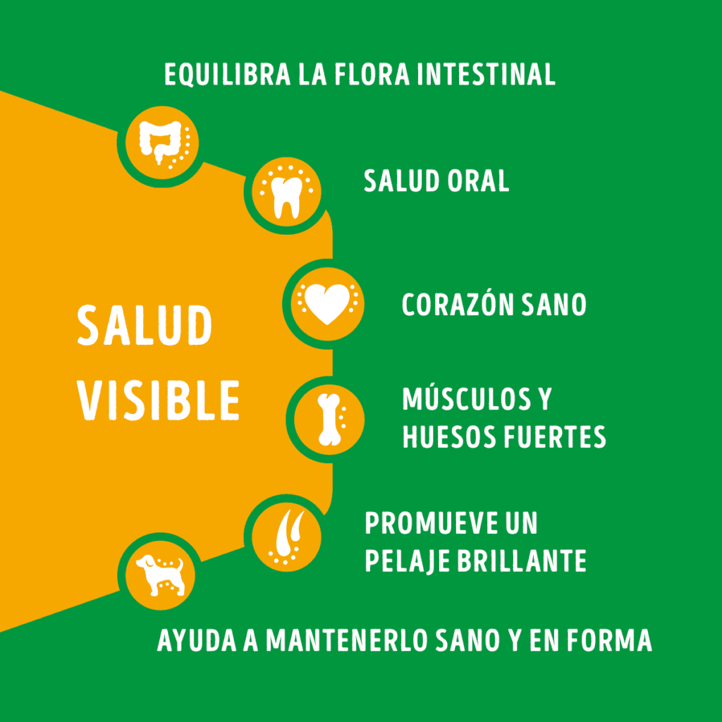 Distribuidora Lira