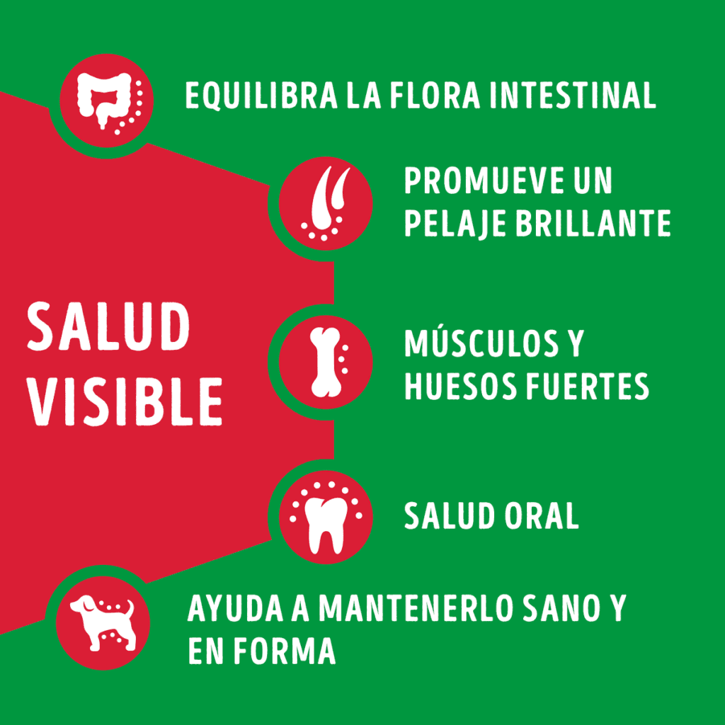 Distribuidora Lira