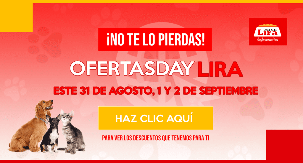 Distribuidora Lira