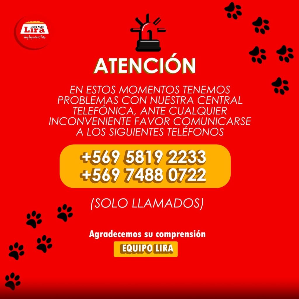 Distribuidora Lira