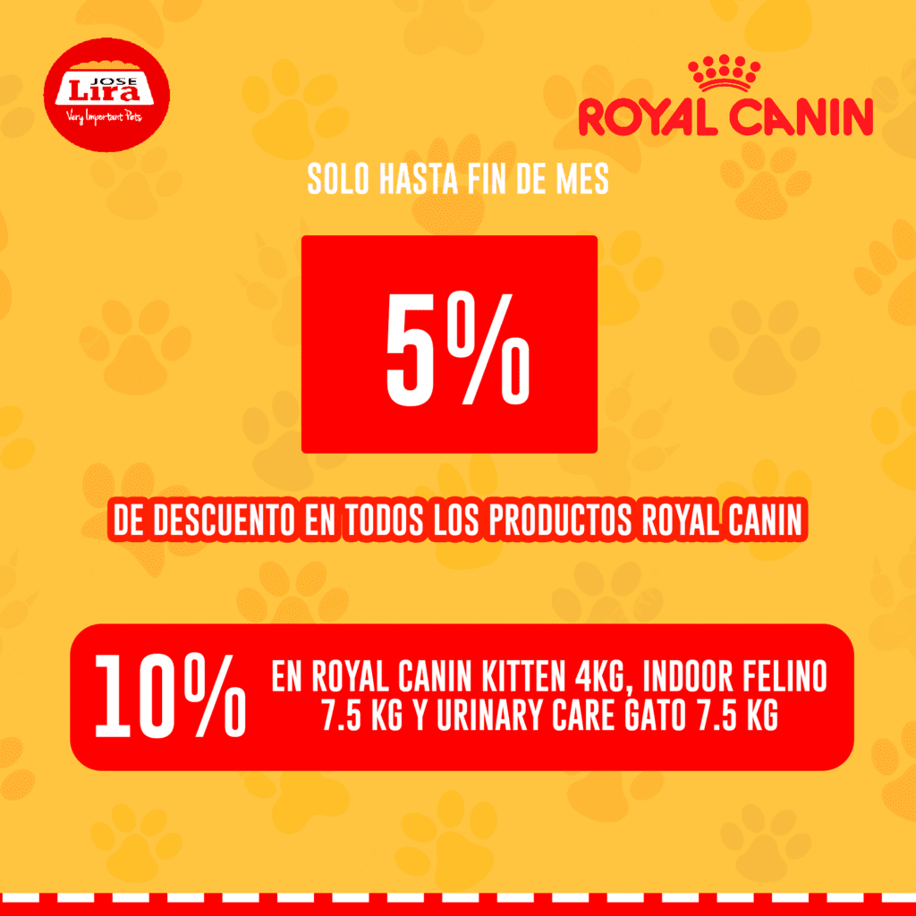 Distribuidora Lira