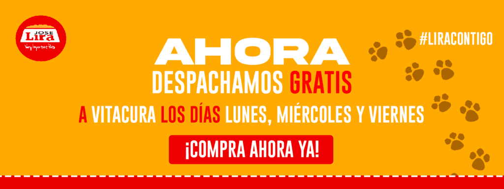 Distribuidora Lira