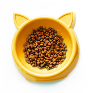 Alimento para Gatos