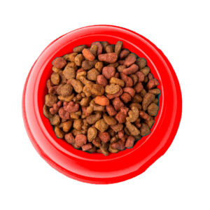 Alimento para Perros