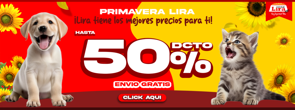 Distribuidora Lira