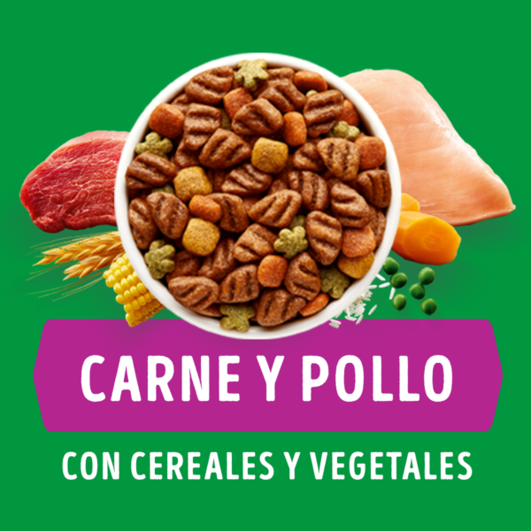 Dog Chow Senior 3 KG - Imagen 6