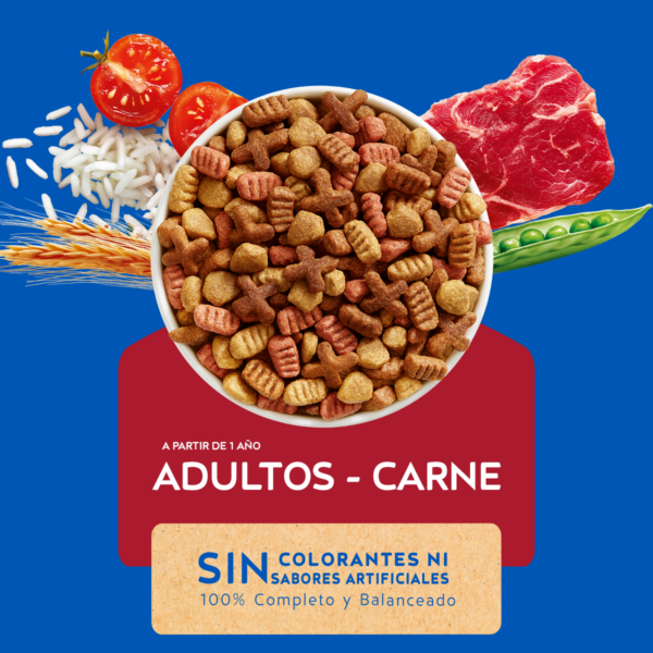 Cat Chow Carne 19.5 KG - Imagen 2