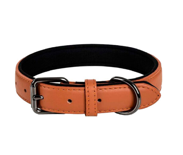 Collar Wonder Eco Cuero 1.5*38 cm Colores (KX4128)