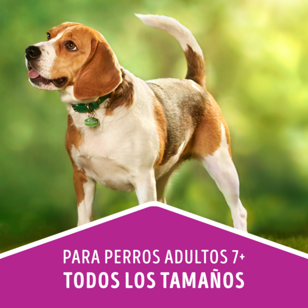 Dog Chow Senior 3 KG - Imagen 5