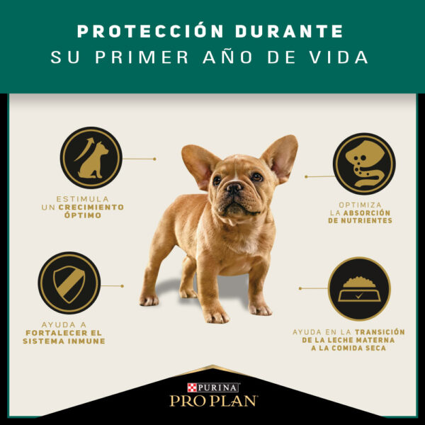 Pro Plan Puppy Razas Pequeñas 7.5kg - Imagen 3