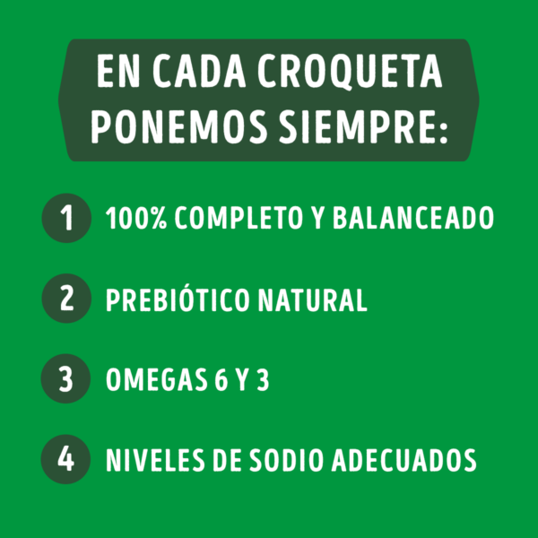 Dog Chow Adulto 24 KG - Imagen 6