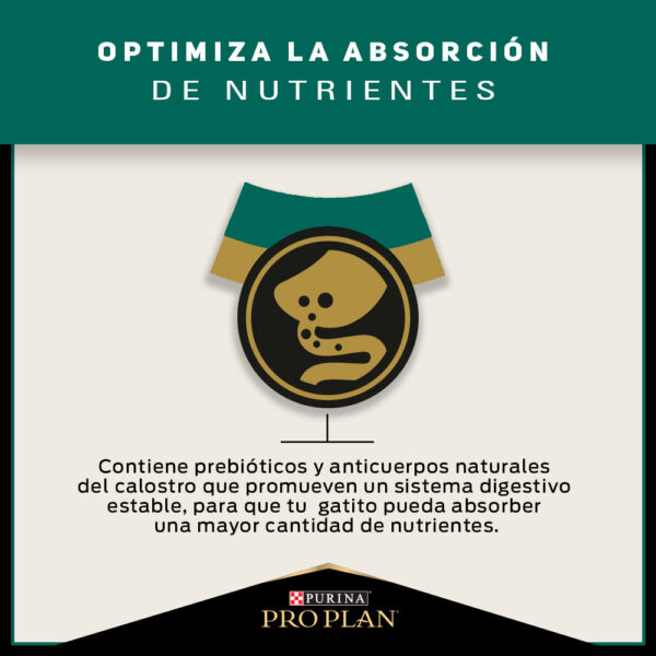 Pro Plan Cat Kitten 7,5 kg - Imagen 3