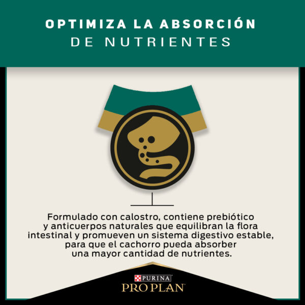 Pro Plan Puppy Razas Pequeñas 7.5kg - Imagen 8