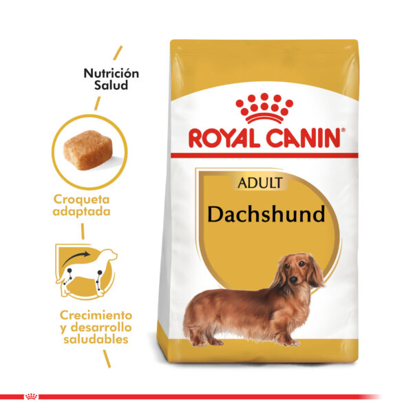 Royal Canin Dachshund Adulto 7.5 KG - Imagen 2