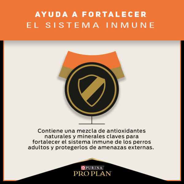 Pro Plan Sensitive Skin Salmón Razas Mediana/Grande 3 KG - Imagen 3