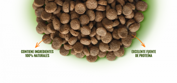Nómade Adulto Razas Pequeñas 10 KG - Imagen 2