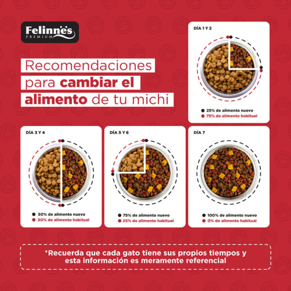 Alimento Felinnes Premium Gatito sabor Pollo y Leche 20 KG - Imagen 4
