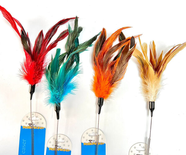 Varita Pluma Colores
