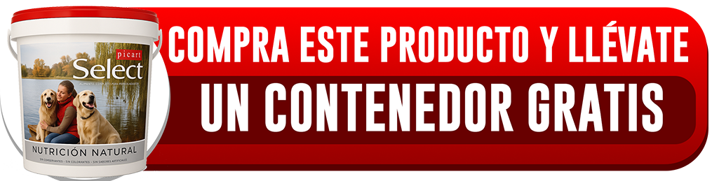 Promoción