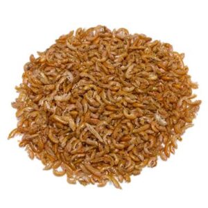 Alimento para Tortugas Peces Tira 10 Unidades Gammarus 100 GR