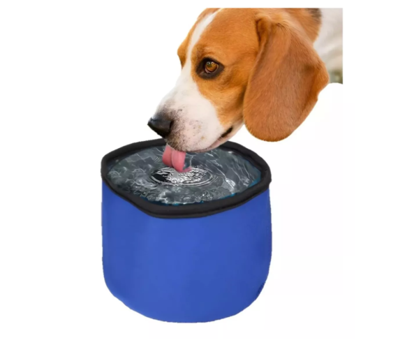 Bebedero Tazón Plato Mascotas Hielo Gel Refrescante 15x15x10 cm (79213) - Imagen 2