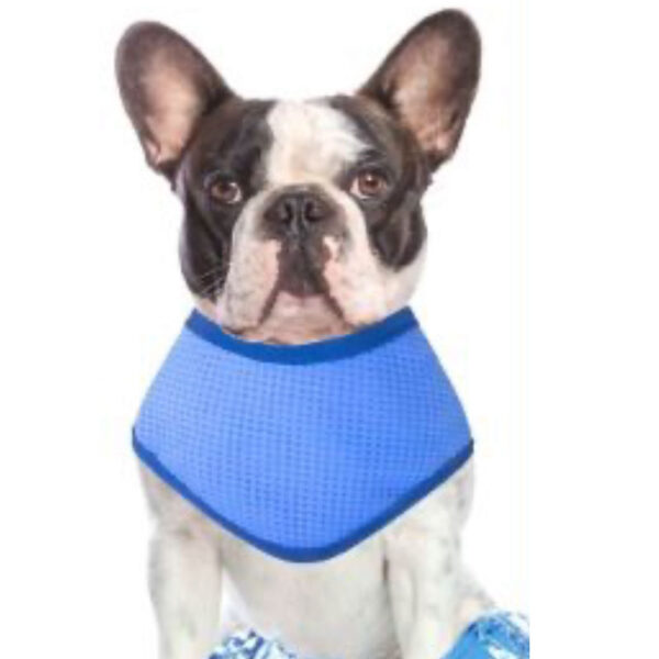 Bandana Mascotas PVA Refrescante Talla M 28-40cm (79219) - Imagen 3