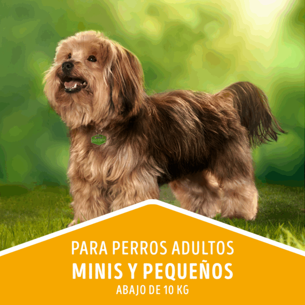 Dog Chow Adulto Razas Pequeñas 16,5 KG - Imagen 2