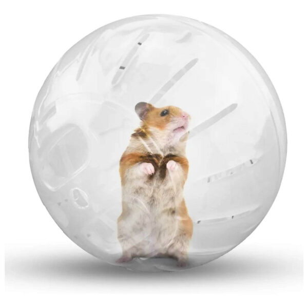 Efera Hamster Grande 18 cm (XR0173) - Imagen 3