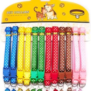 Collar Gato con Cascabel Colores Surtidos 1.0 CM (448)