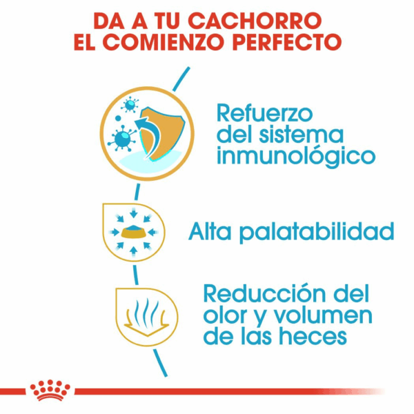 Royal Canin Chihuahua Cachorro Puppy 1.5 KG - Imagen 3