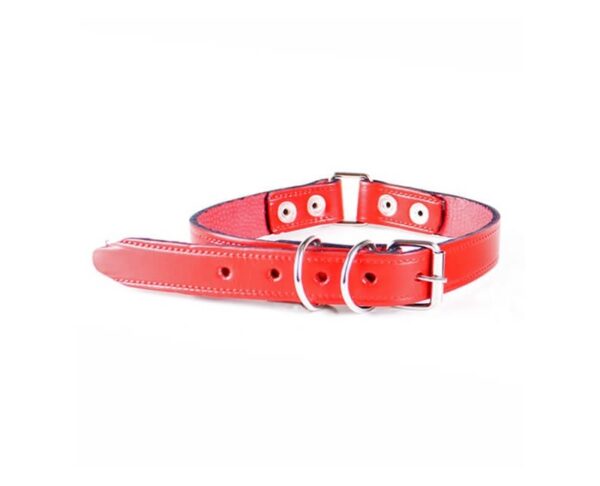 Collar Cuero Partido 20 mm (3/4) (091803) Colores surtidos - Imagen 2