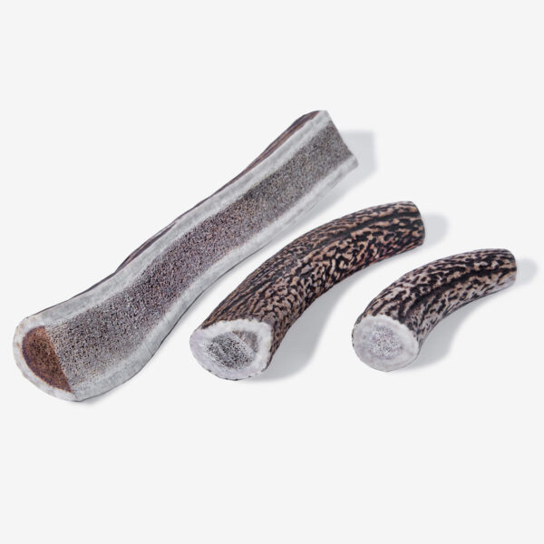 Snack para perro Asta de Ciervo Talla M - Imagen 2