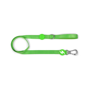 Dashi Trailla Correa Solid Green Leash Talla L (2491)