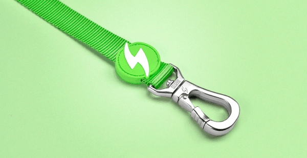 Dashi Trailla Correa Solid Green Leash Talla L (2491) - Imagen 2