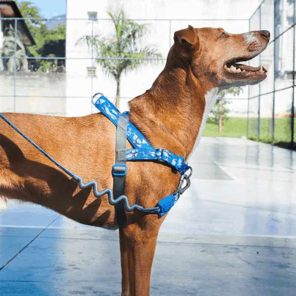 Arnés Mascotas ZeeDog H3D Fly Softer Walk Talla M Efecto Suavizado (608055) - Imagen 3
