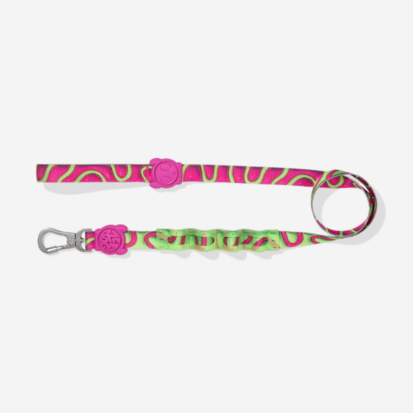 Correa Trailla Mascotas ZeeDog H3D Jelly Leash Talla L (607607) - Imagen 2
