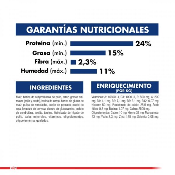 Royal Canin Maxi Adulto 12 KG - Imagen 2