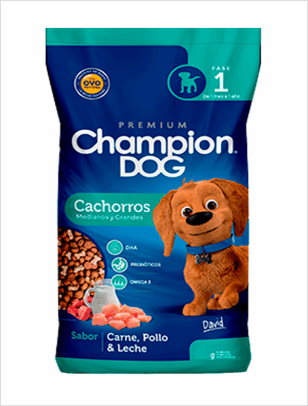 Champion Dog Cachorro 19.5 KG