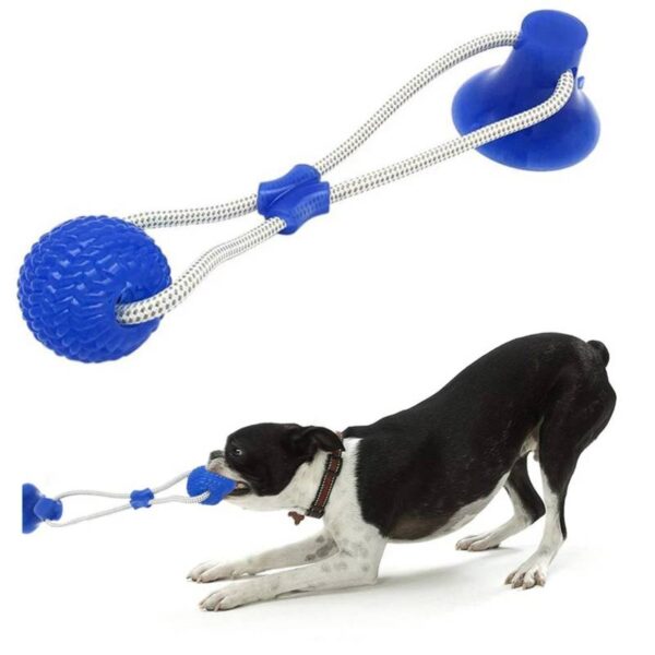 Juguete Pelota Chupon Colores (XR0111) - Imagen 2