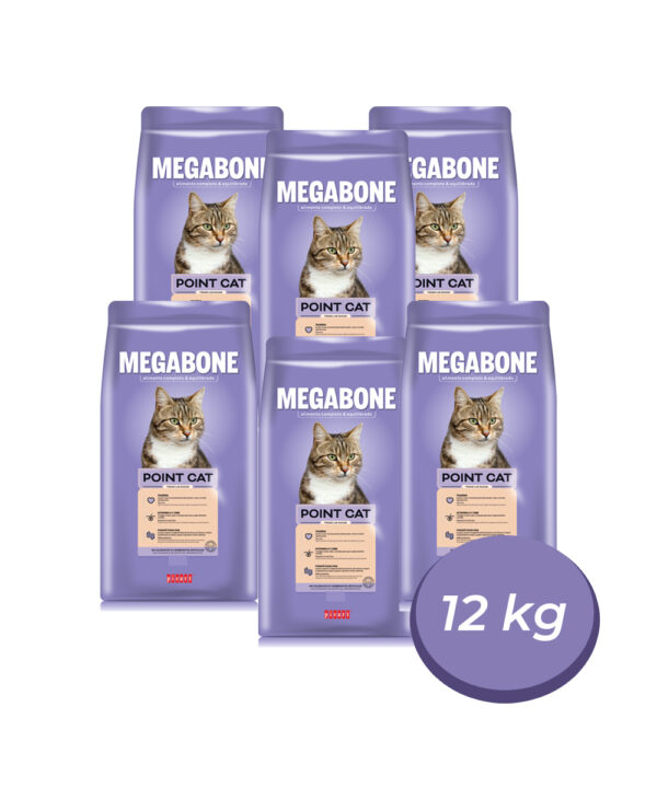 Megabone Premium Cat Point 6x2 KG (12 KG)