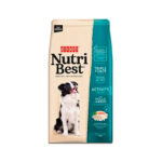 Nutribest Dog Activity