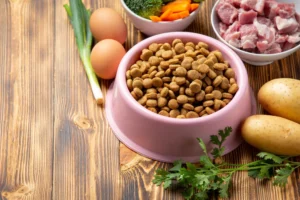 3 señales de que tu mascota necesita cambiar de dieta